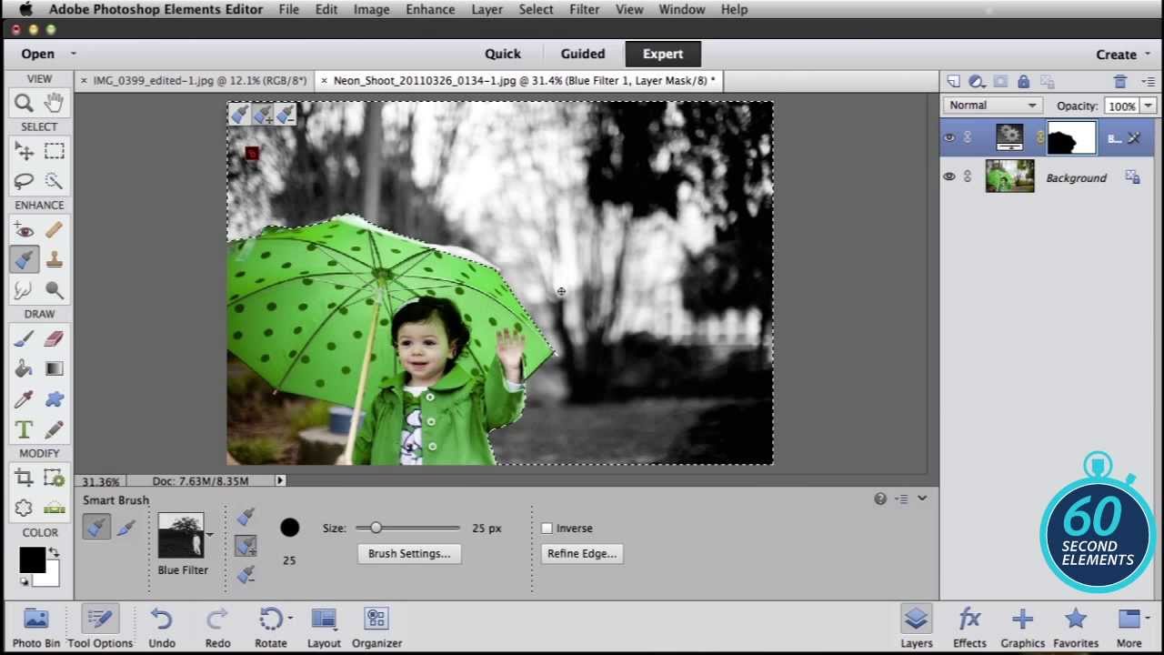 photoshop elements procssor